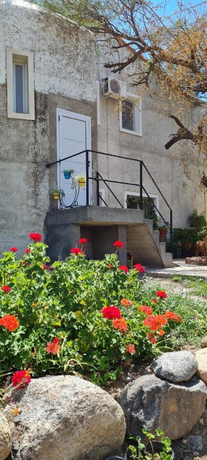 Santa Teresita Apartment Cafayate Exterior foto